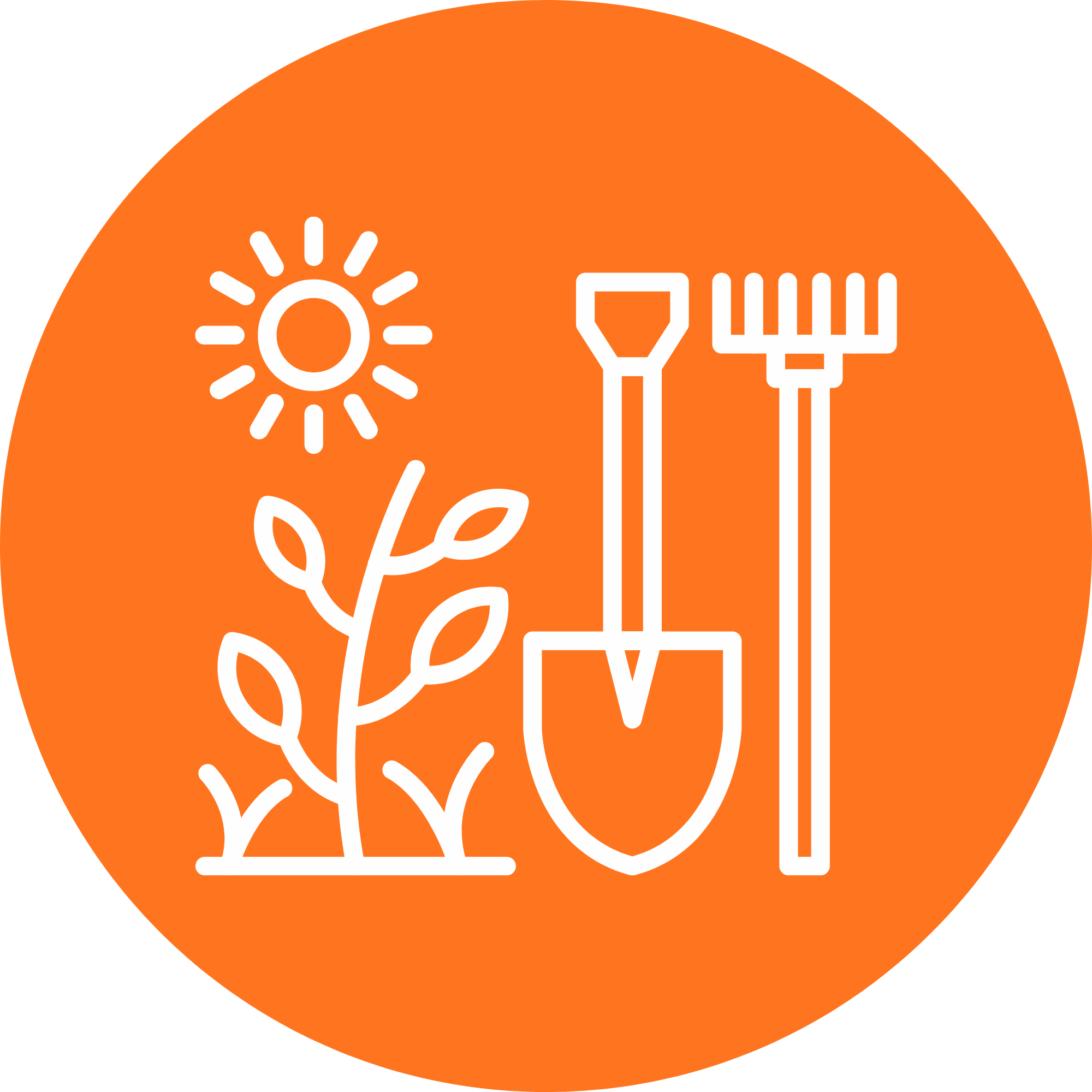 Landscaping & Hardscaping